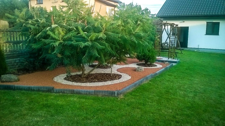 WP_20170720_19_37_26_Pro-2.jpg